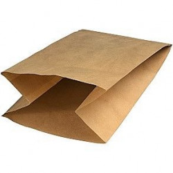 Electrolux Wet & Dry Filter Bag x10